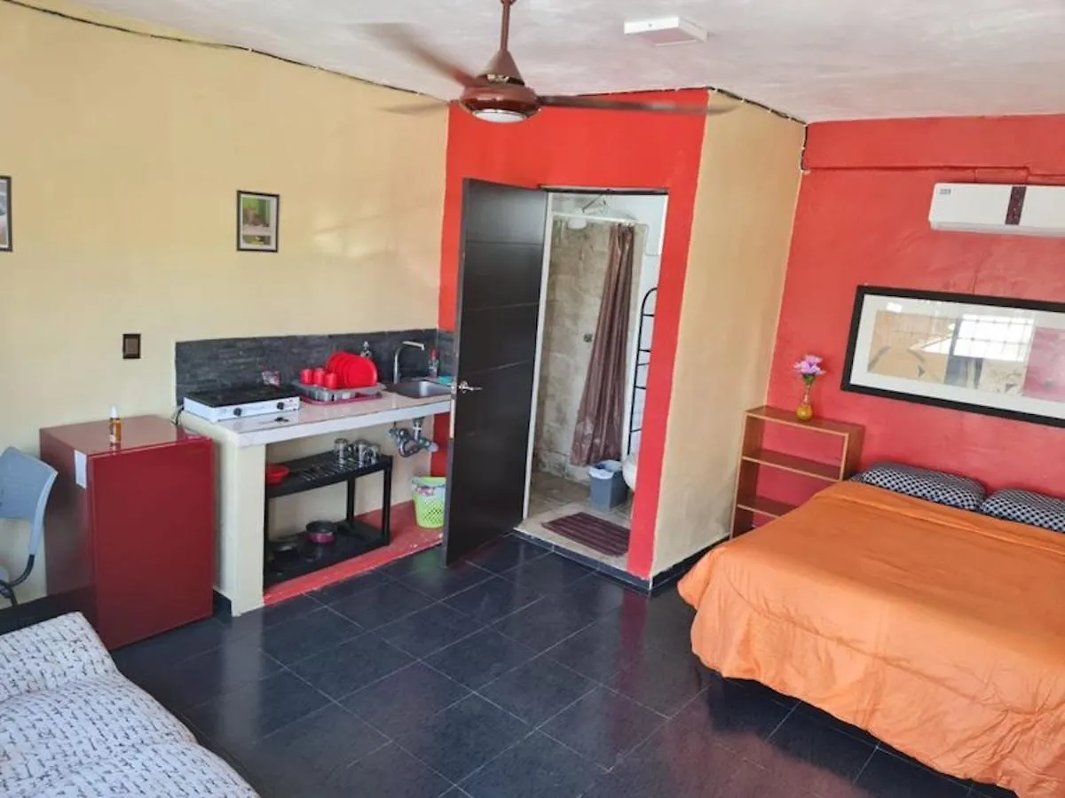 Independent Apartment Wifi A C, Stove, Refrigerator, Tv Merida 0*,  Mexico